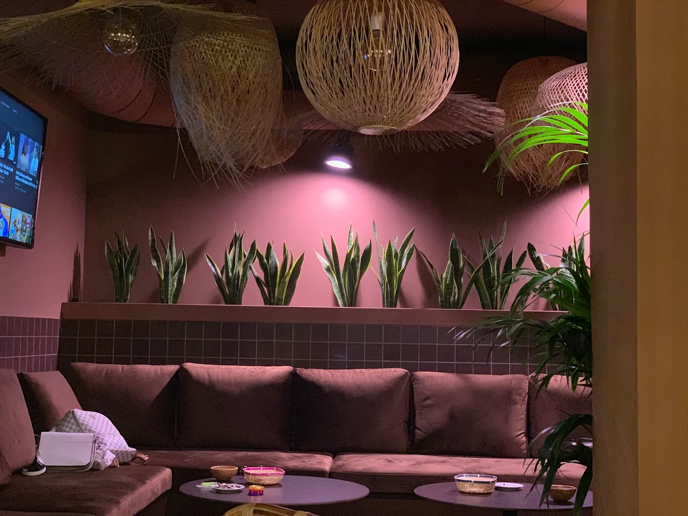 Zona lounge — sofás terciopelo y plantas